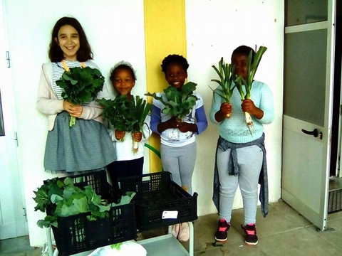 Fizemos a venda dos nossos produtos da horta